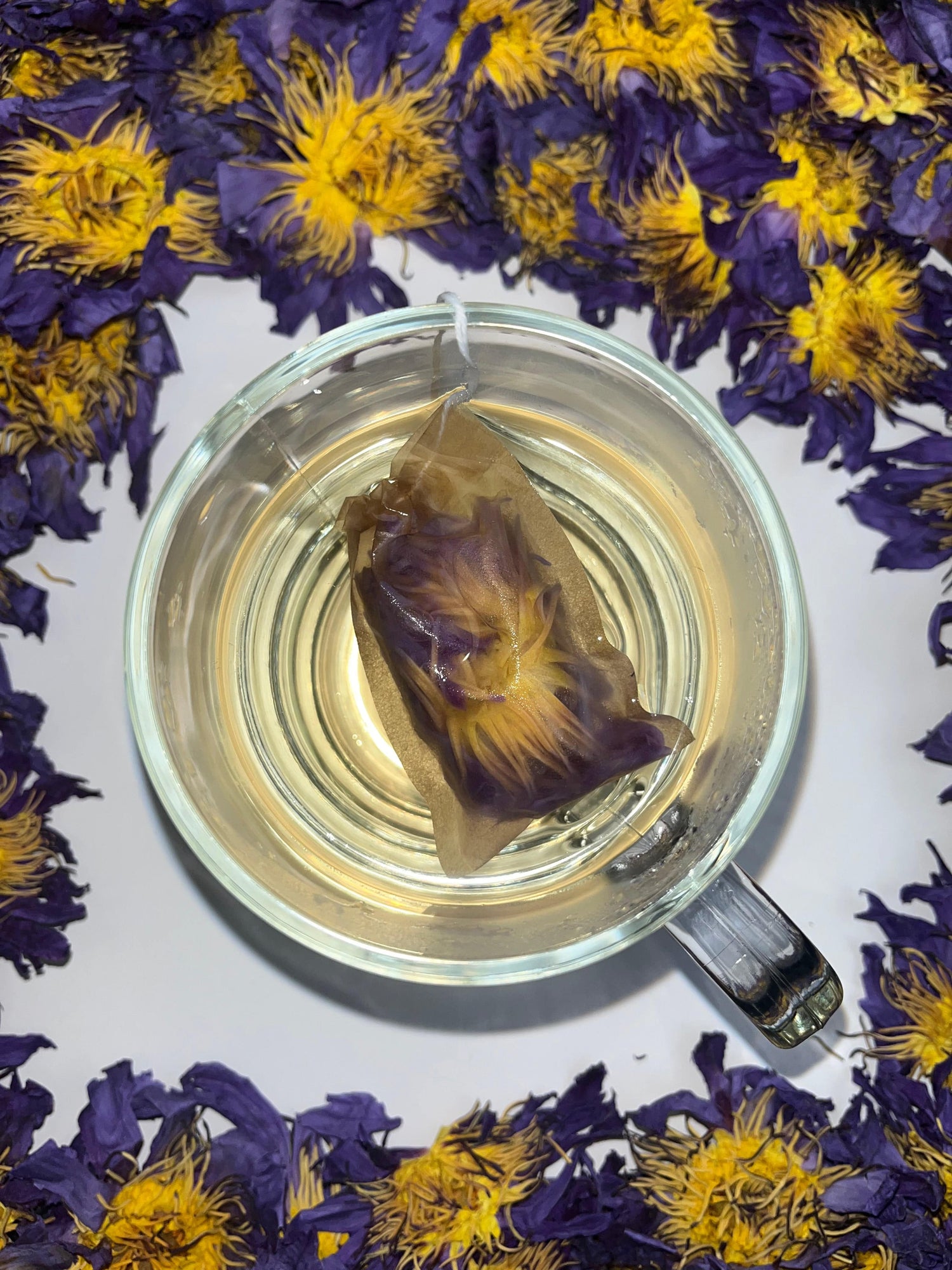 blue lotus flower tea